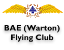 BAE Logo